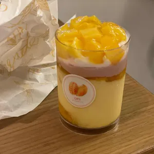 옵스 리뷰 사진