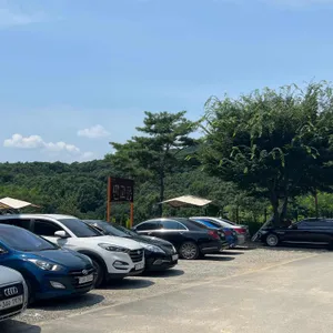 판교몽 리뷰 사진