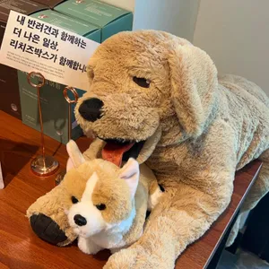 판교몽 리뷰 사진