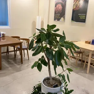 금상족발 리뷰 사진