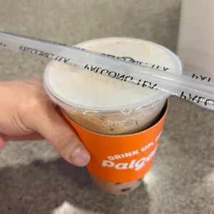 팔공티 포레스트 사진