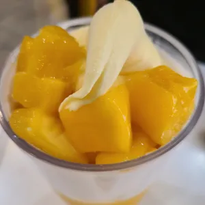 고망고 사진