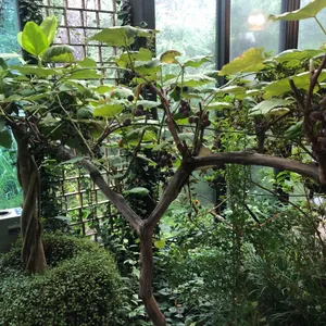 수예몽 리뷰 사진