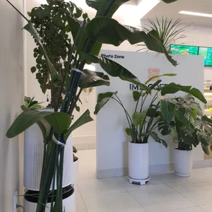 아임일리터 리뷰 사진