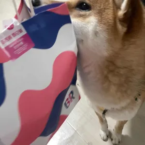 배스킨라빈스 화명강변점 리뷰 사진