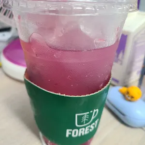 포레스트 사진