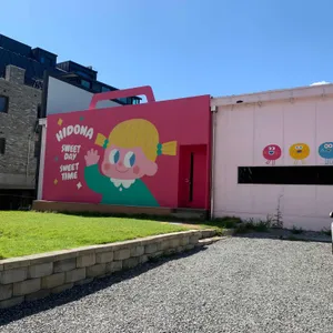 하이도나 리뷰 사진