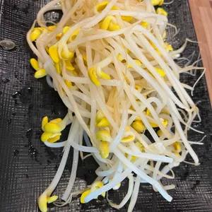 해낙전 사진