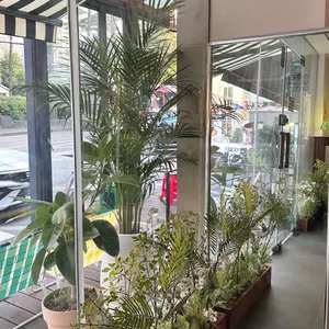 플로우 리뷰 사진