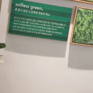 크리스피프레시  리뷰 사진