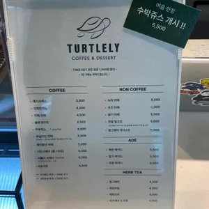 터틀리 리뷰 사진