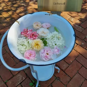 리베볼 대표 사진