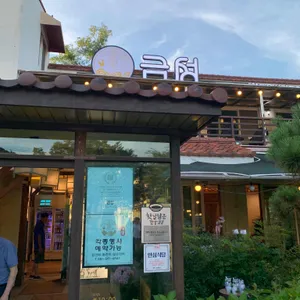 금성 대표 사진