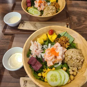폴라니 포케 사진