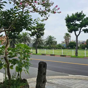 몽그레 리뷰 사진