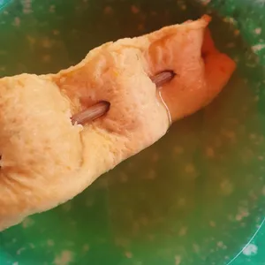 송뎅 사진