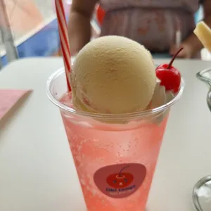 오랑지 사진