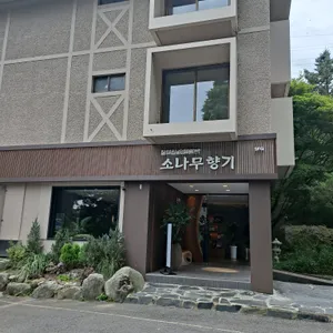 소나무향기 리뷰 사진