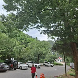 소나무향기 리뷰 사진