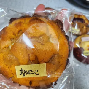 오늘의꾸움 사진