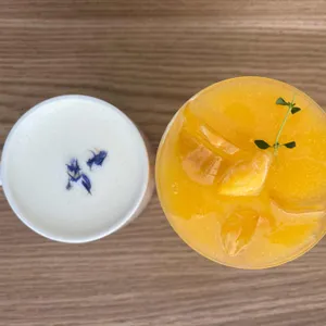 숲속의 빈터 사진