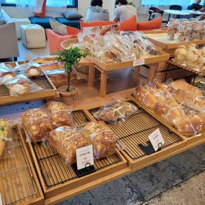 루디꼬 사진