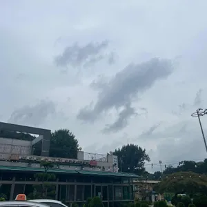 여의도생고기 리뷰 사진