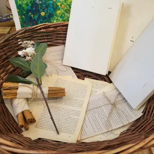 라펠리치타 대표 사진