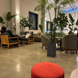 온더레일 리뷰 사진