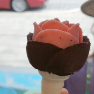 꽃봉자 사진