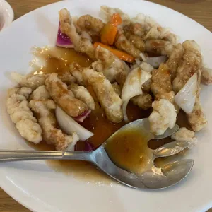 지하오 사진