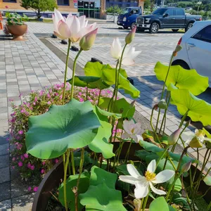 아르떼 물들이다 리뷰 사진