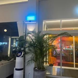 카페 도틀 리뷰 사진