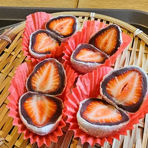 팥도리 사진