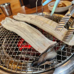 서하민물장어 사진