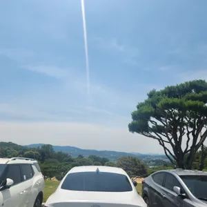 카페그리너리 리뷰 사진