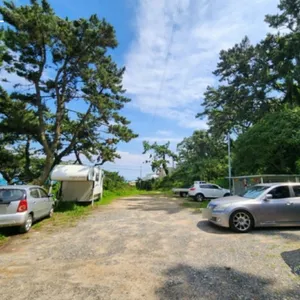 주전메밀꽃향기 사진