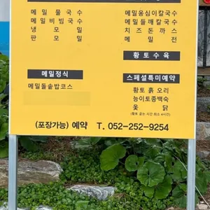 주전메밀꽃향기 사진