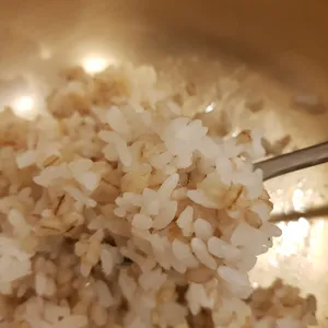 콩예원 리뷰 사진