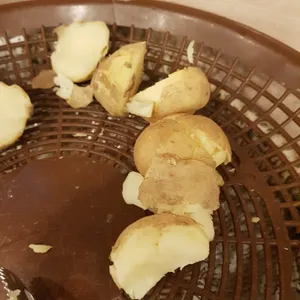 콩예원 리뷰 사진