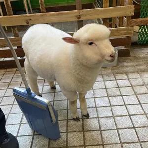 땡스네이쳐카페 리뷰 사진