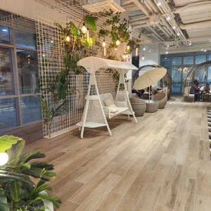 오아시스 리뷰 사진