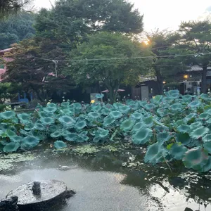오롯이꽃 리뷰 사진