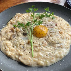 폴리아 리뷰 사진