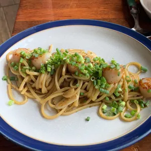 폴리아 리뷰 사진