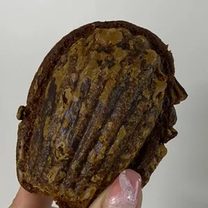 디저트린 사진