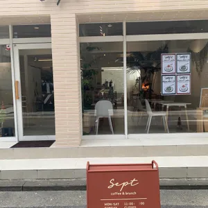 셉트 리뷰 사진