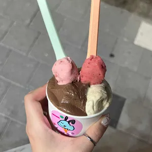 쏠레젤라또 사진
