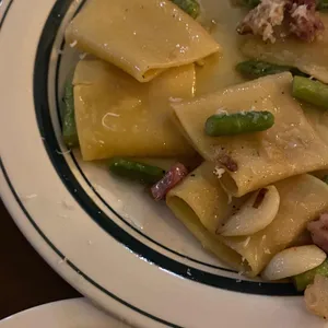 척도 비스트로 사진