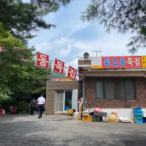 월오동묵집 리뷰 사진